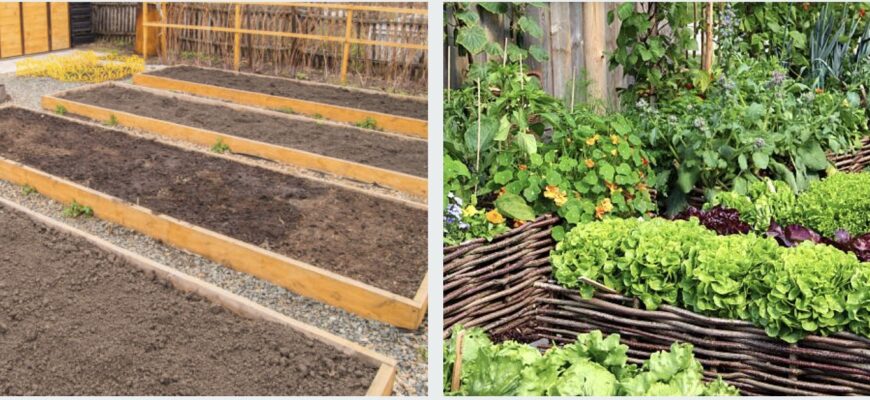 Планировка грядок