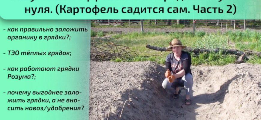 Грядки Розума