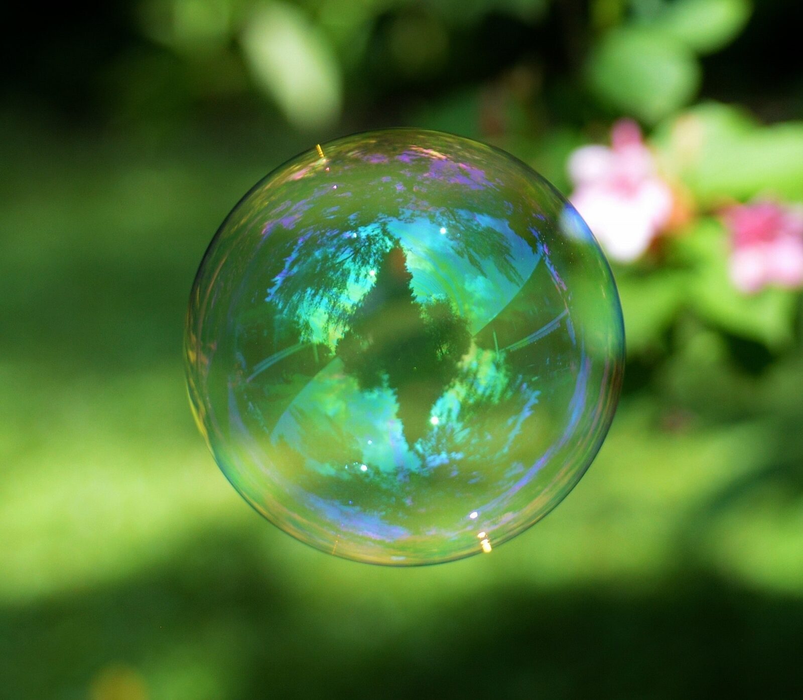 красивый мыльный пузырь