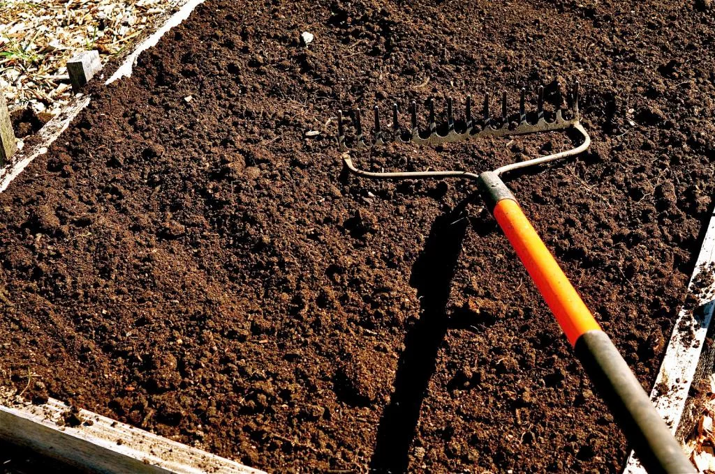 Подготовка почвы для гладиолусов