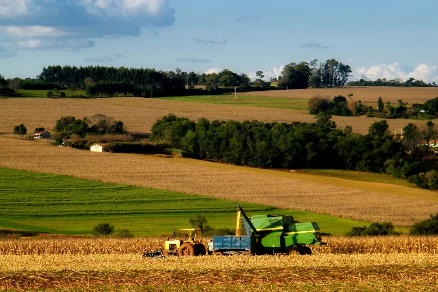 Как правильно сх. Сельхоз земли Италии. Сельское хозяйство Добруджи Болгария. Сельскохозяйственные угодья. Сельскохозяйственный ландшафт.