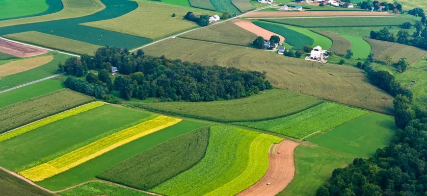 Сельхозугодья