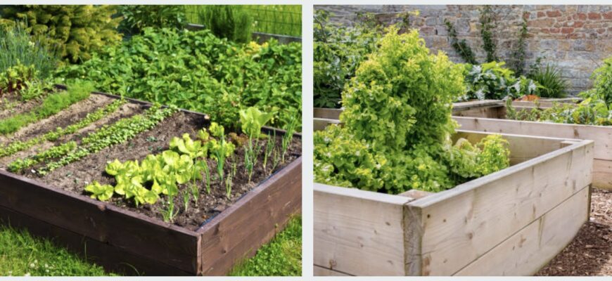 Грядки по методу Хольцера, Курдюмова, Лядова и Розума своими руками