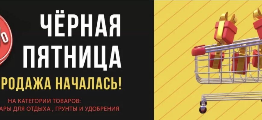 11.11 Черная пятница в садовом центре «Планета лета»