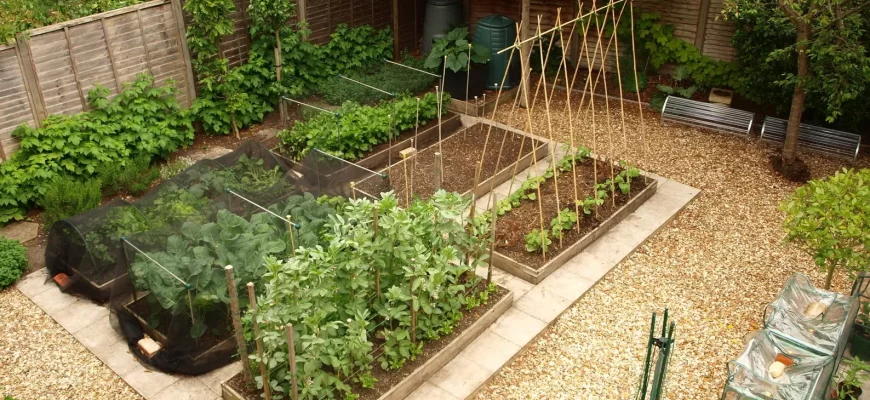 Маленький огород